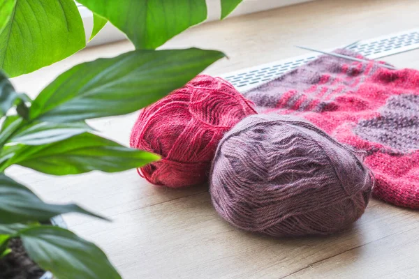 Na janela estão fendas de fios de lã coloridos tricô e planta de sala. — Fotografia de Stock