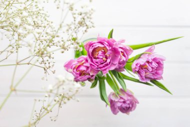 Romantik, narin pembe laleler ve beyaz arka planda çingene çiçekleri..