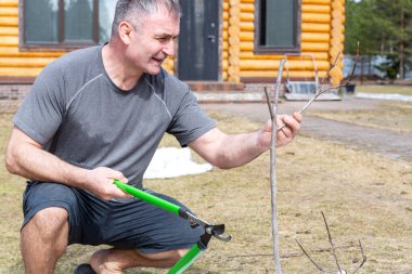 50 yaşında güçlü beyaz bir erkek bir ağacın dallarını budayarak kesiyor..