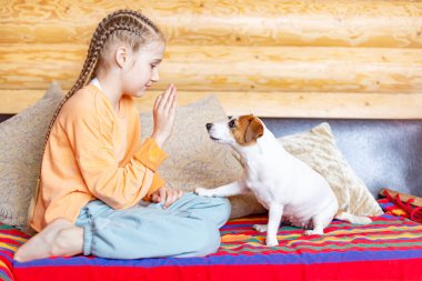 A teenage girl teaches commands to a small dog Jack Russell Terrier. clipart
