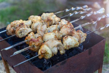 Şiş et, mangalda ya da mangalda yakın plan kömürde kızartılır. Piknik.