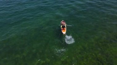 Su denizindeki bir kürek tahtasındaki insanlar, hızla ilerliyorlar, hava manzarası. 