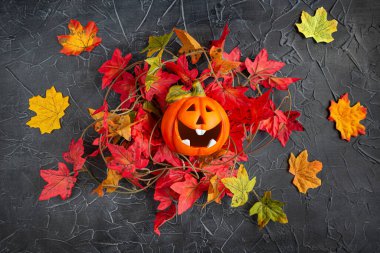 Cadılar Bayramı, akçaağaç yaprağı yuvasında gülen balkabağı.