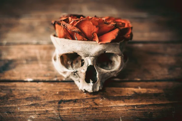 Skull and roses