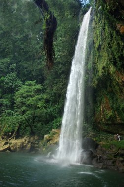 Misol-Ha waterfall, Chiapas, Mexico clipart