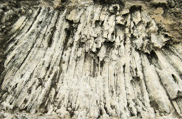 Mercan duvar — Stok fotoğraf