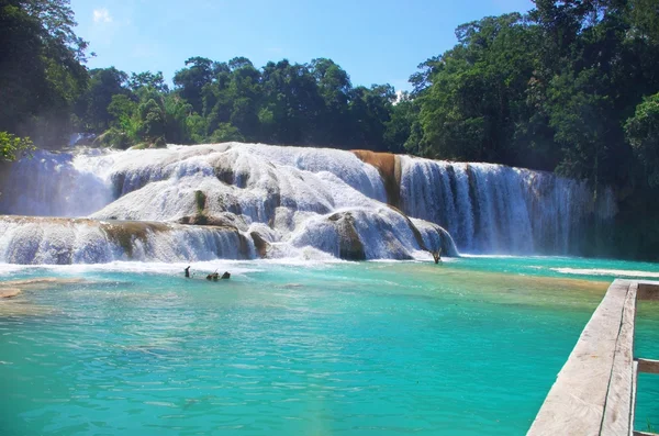 Aqua Azul, Chiapas, México —  Fotos de Stock