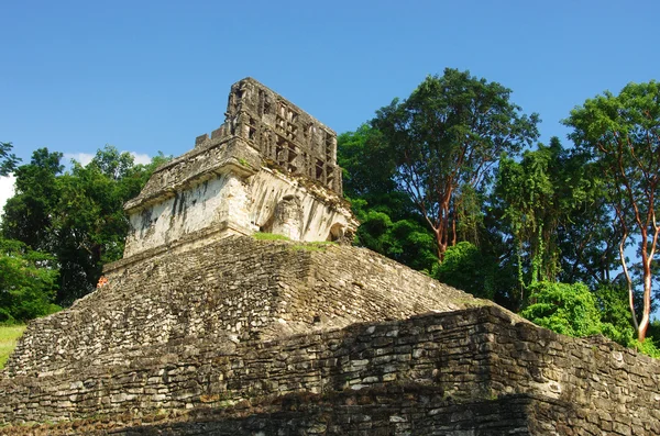 Palenque, Mexiko — Stock fotografie