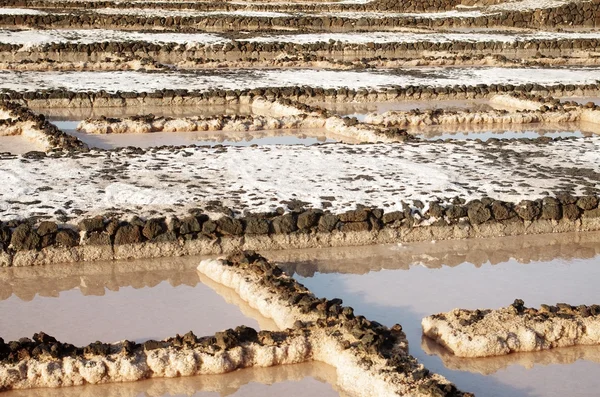 Salinas del Janubio, Lanzarote — Stock Photo, Image