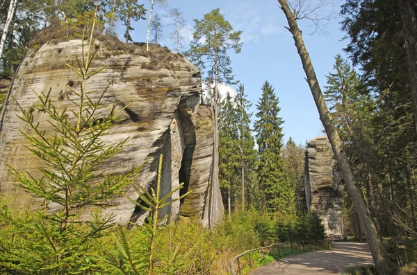 Nedalekou horniny ve skalne mesto ardspach Česká republika — Stock fotografie