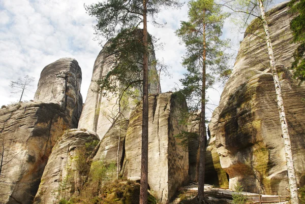 Nedalekou horniny ve skalne mesto ardspach Česká republika — Stock fotografie