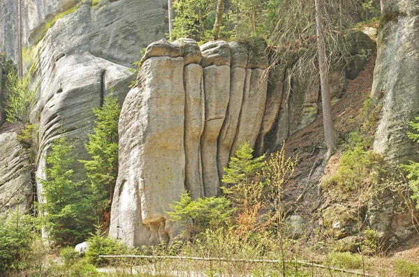 "The Organs "rock in Skalne Mesto Ardspach Czech Republic — стоковое фото