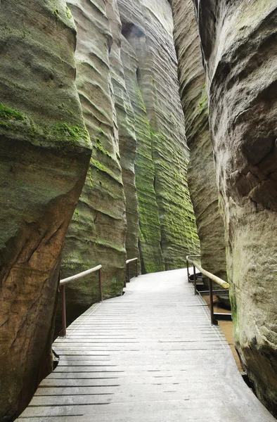 Un sentier à Skalne Mesto Adrspach République tchèque — Photo