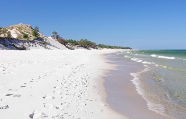 boş plaj ve dunes