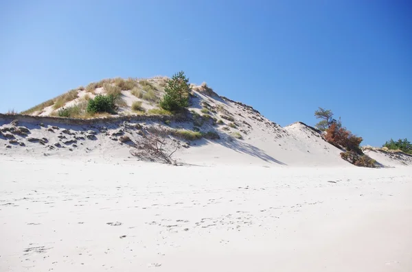 Spiaggia bianca e dune — Foto Stock