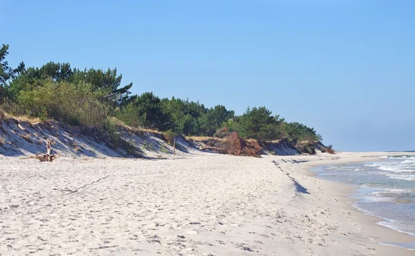 Белый пляж и дюны — стоковое фото