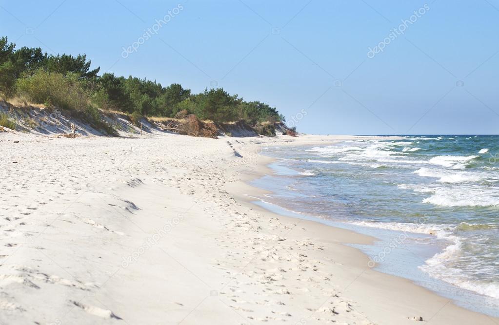 white beach and dunes