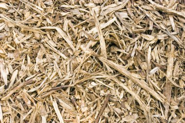 Kağıt hamuru arka plan dokusu