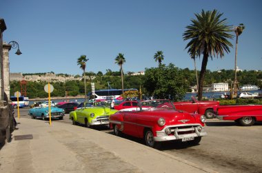 Havana Küba'da eski arabalar