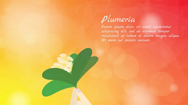 Plumeria Blommor Handen Bakgrund Orange Rött Ljus Bokeh Illustratör Business — Stock vektor