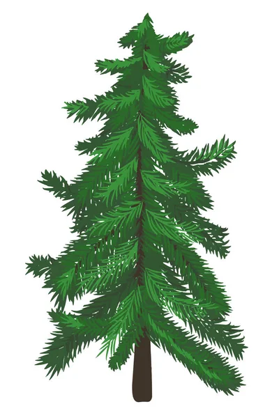 Abete Rosso Verde Albero Natale Sfondo Bianco Vettore — Vettoriale Stock