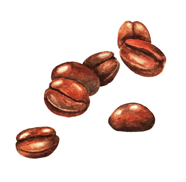 Aquarel Met Hand Getrokken Koffiebonen Geïsoleerde Natuurlijke Voedsel Illustratie Witte — Stockfoto