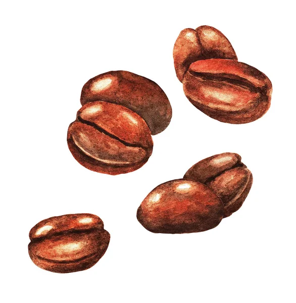 Akvarellritade Kaffebönor Isolerad Naturlig Mat Illustration Vit Bakgrund — Stockfoto