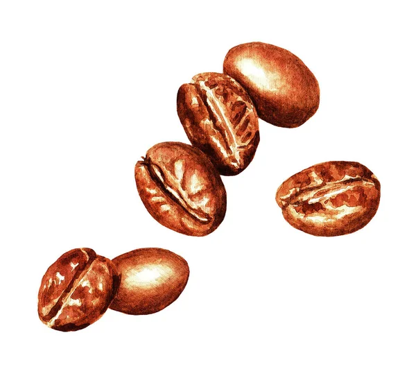 Akvarellritade Kaffebönor Isolerad Naturlig Mat Illustration Vit Bakgrund — Stockfoto