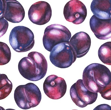 Beyaz arka planda birkaç erik ve yarımlar. Kusursuz desen. Suluboya çizimi