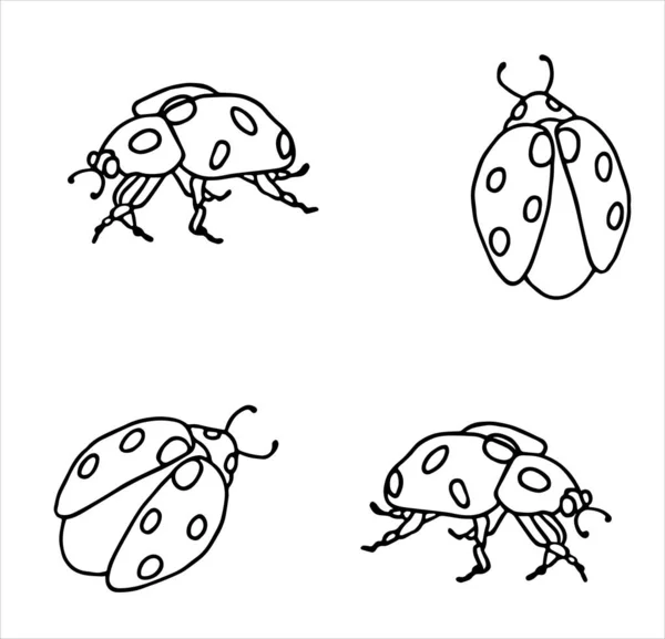 Ladybugs White Background Circuit Coloring Vector Illustration — Stock Vector