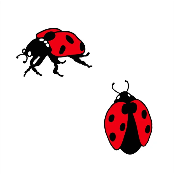 Ladybugs White Background Vector Illustration — Stock Vector