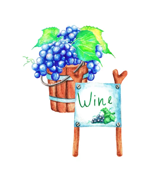木桶与多汁的葡萄和一个标牌 水彩画 — 图库照片