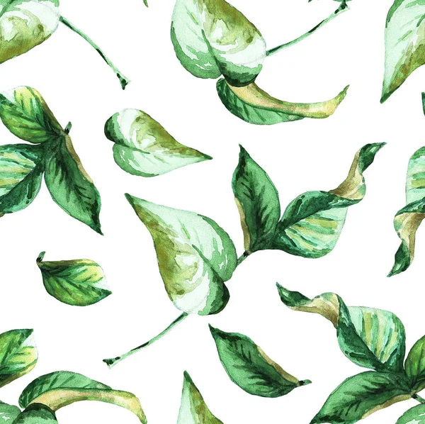 Folhas Verdes Galho Padrão Sem Costura Ilustração Aquarela — Fotografia de Stock