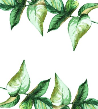 Çerçeve yeşil yapraklardan yapılmış. Suluboya çizimi