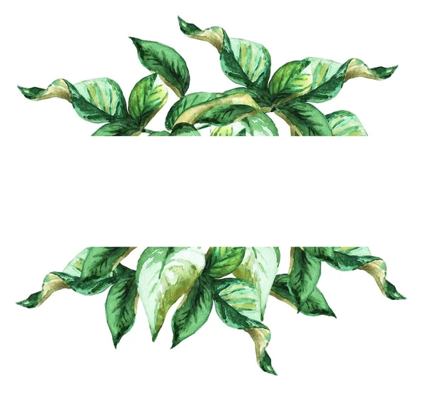 Frame Made Green Leaves Watercolor Illustration — 图库照片