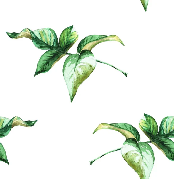 Green Leaves Twig Seamless Pattern Watercolor Illustration — 图库照片