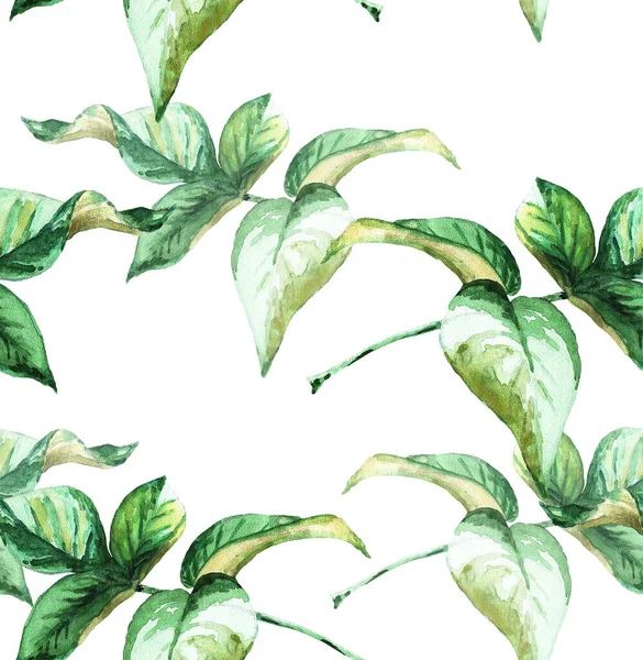 緑の葉が小枝に付きます シームレスなパターン 水彩画 — ストック写真