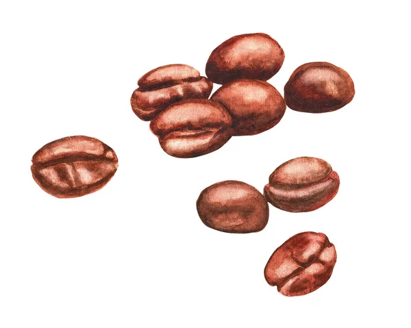 Flera Jarred Kaffebönor Vit Bakgrund Akvarell Illustration — Stockfoto