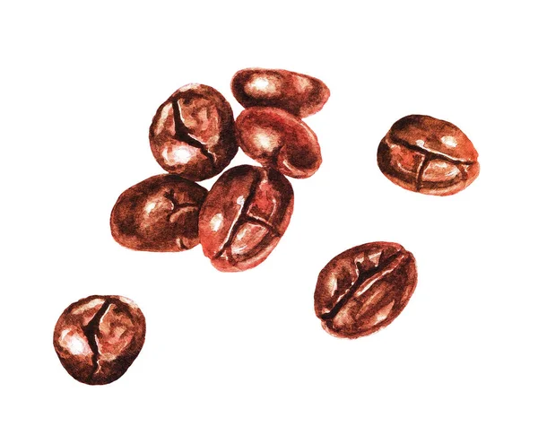 Group Watercolor Coffee Beans White Background Illustration — Stock Photo, Image