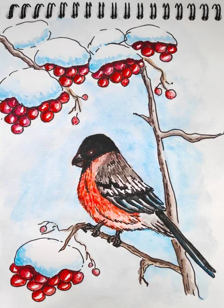 ツリー上の冬の鳥 ストック画像