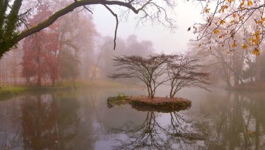 Trees and foliage reflected on a woodland pond at the park of Monza. December foggy day, Lombardy, Italy