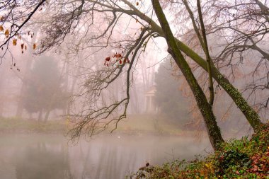 Trees and foliage reflected on a woodland pond at the park of Monza. December foggy day, Lombardy, Italy