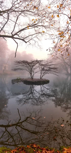 Árboles Follaje Reflejados Estanque Forestal Parque Monza Día Niebla Diciembre — Foto de Stock