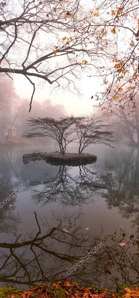 Trees and foliage reflected on a woodland pond at the park of Monza. December foggy day, Lombardy, Italy