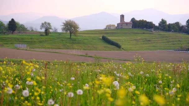 Paysage Printemps Avec Des Fleurs Jaunes Déplaçant Avec Vent Une — Video