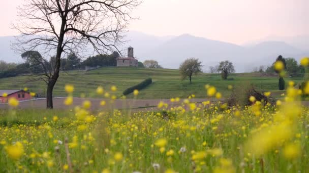 Landscape Spring Yellow Flowers Moving Wind Little Old Church — Stock Video
