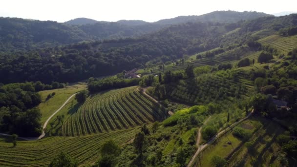 Montevecchia Curone Valley Bölge Parkının Manzarası Brianza Lombardy Talya — Stok video