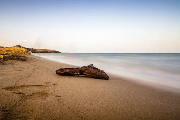 Drijfhout op een mooi strand — Stockfoto