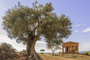 Agrigento - Valle dei Templi