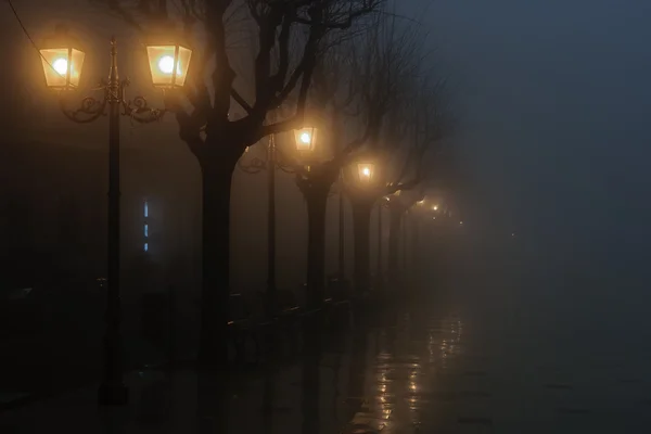 Una noche de niebla — Foto de Stock